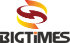 Bigtimes Information Technology Company logo
