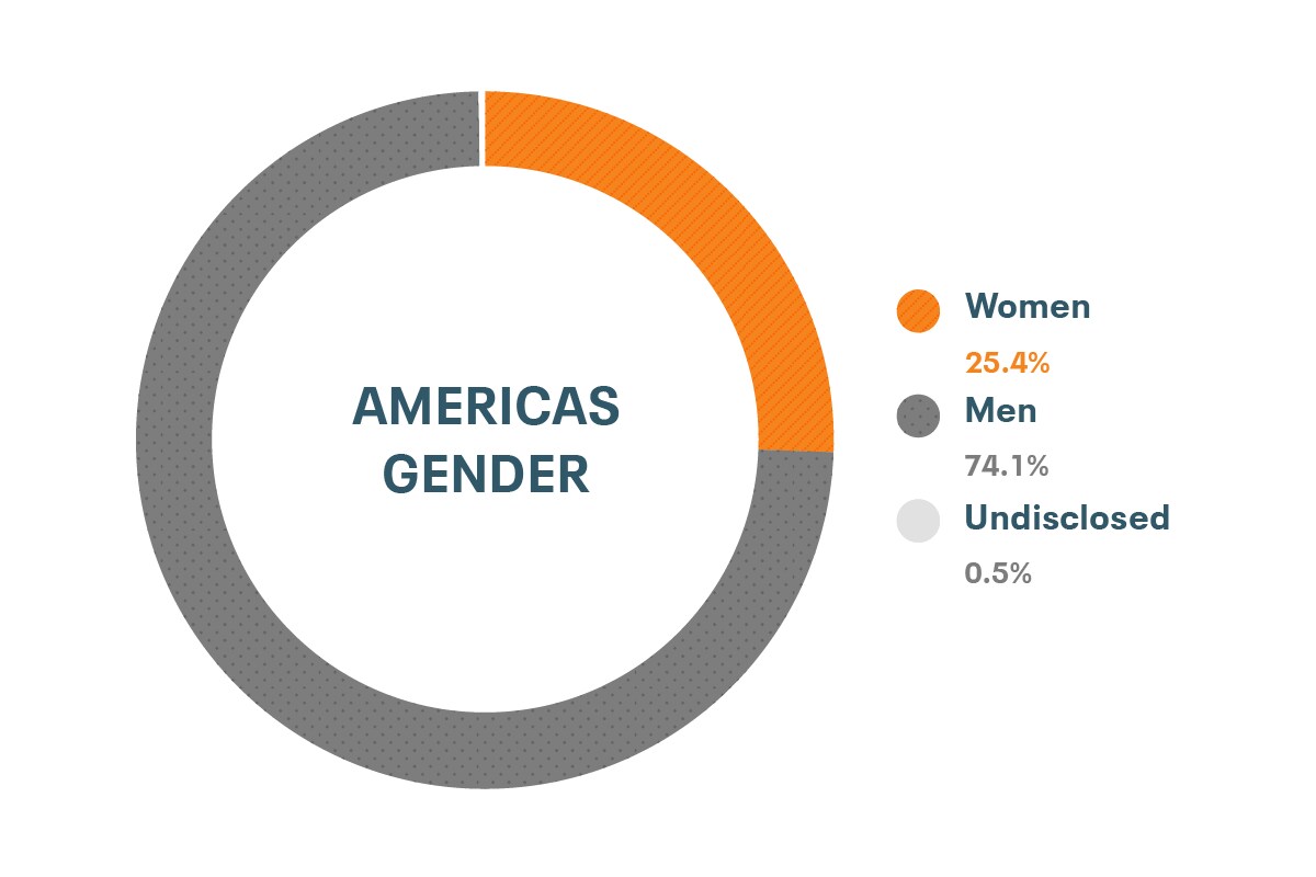 Daten von Cloudera zu Diversität und Inklusion für Nord-, Mittel- und Südamerika nach Genderzugehörigkeit: Frauen 25 %, Männer 76,4 %, nicht offengelegt 0,4 %